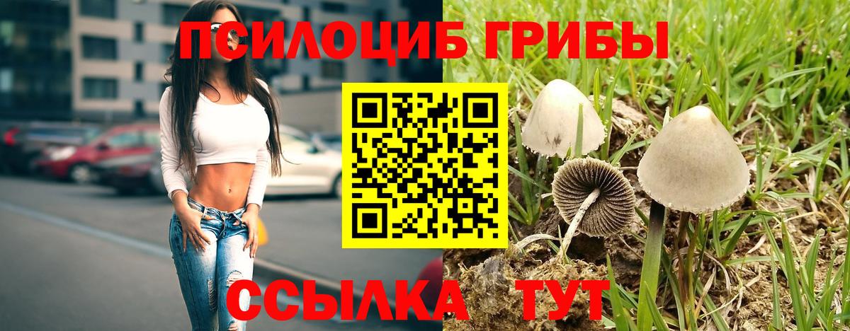 Нарткала  Галлюциногенные грибы Psilocybine cubensis  Псилоцибиновые грибы Psilocybine cubensis  Вход с VPN 
